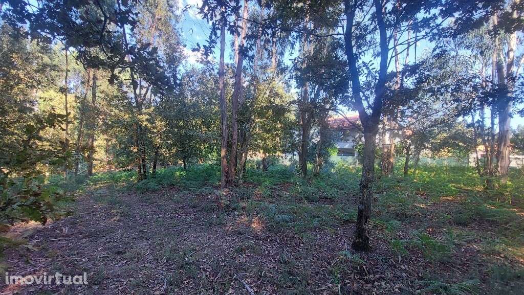 Terreno - Fiscal - Grande imagem: 3/9