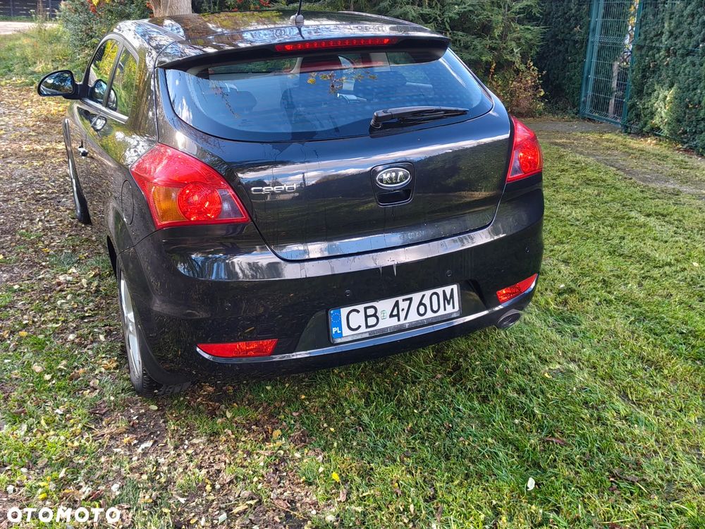 Kia ProCeed - 5