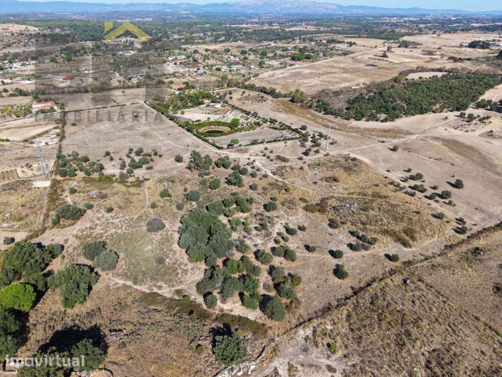 8 hectares de natureza a poucos minutos de Castelo Branco - com pos... - Grande imagem: 2/7