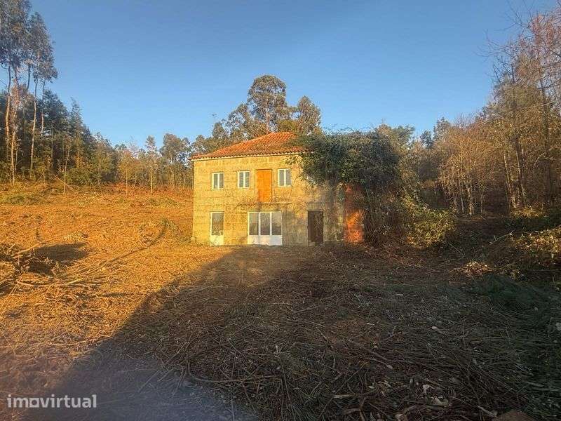 Vendo Quintinha em Viseu - Grande imagem: 4/8