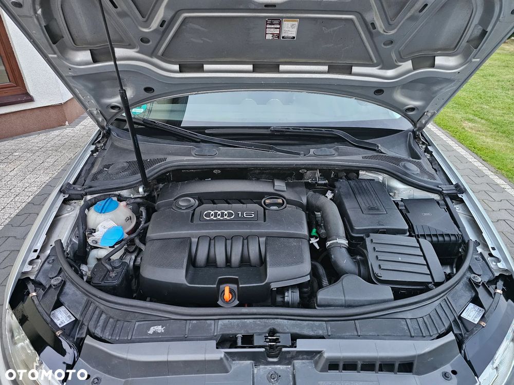Audi A3 Sportback 1.6 Attraction - 21