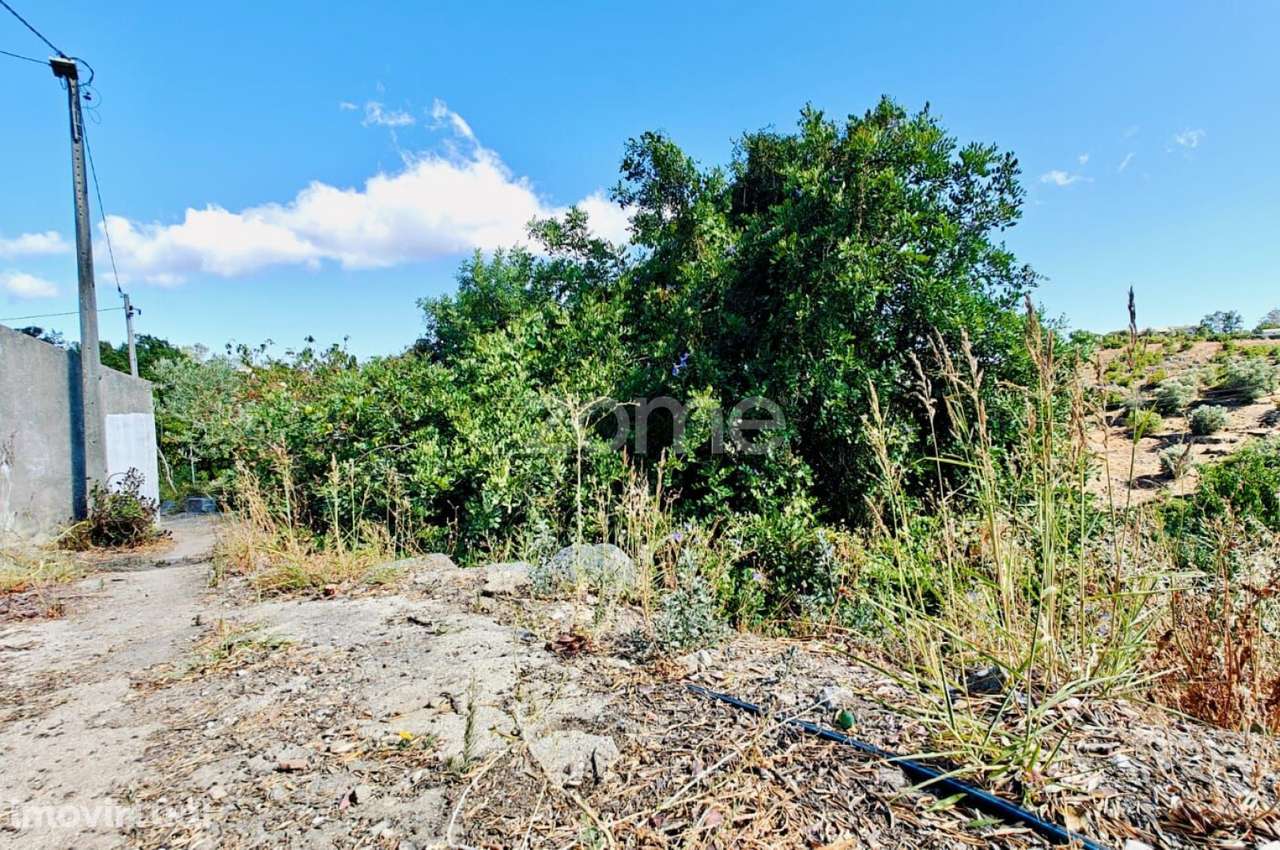 Moradia na Serra de Monchique com 1,3 ha de terreno e potencial T3 - Grande imagem: 3/35