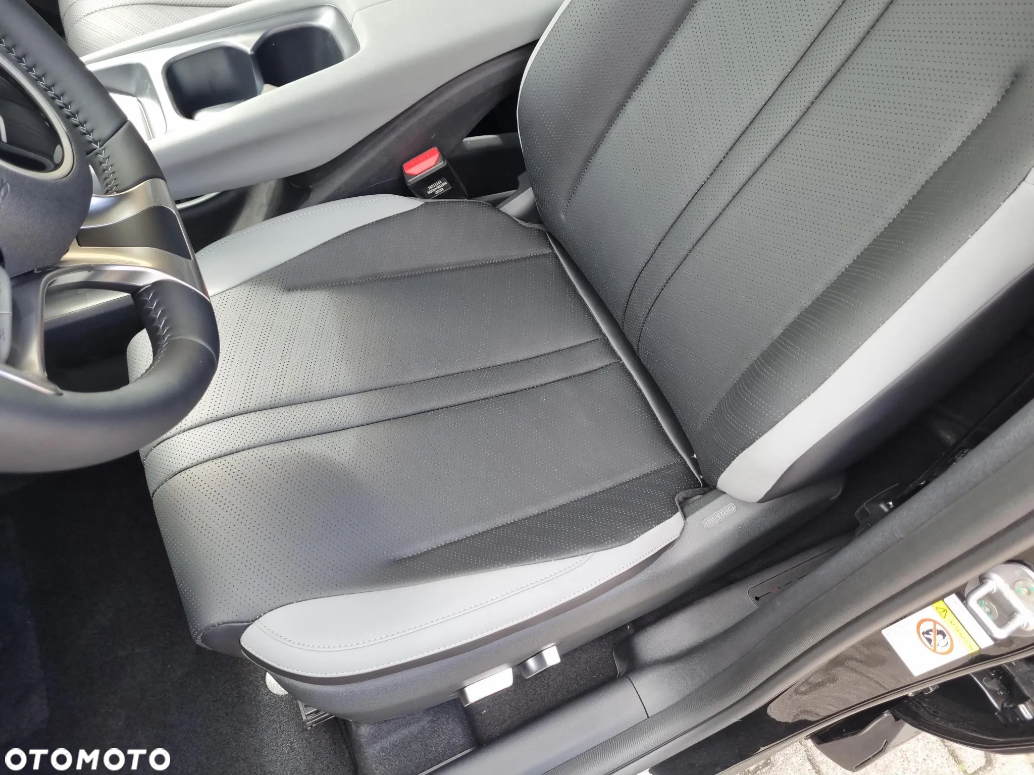BYD Dolphin Surf - 12