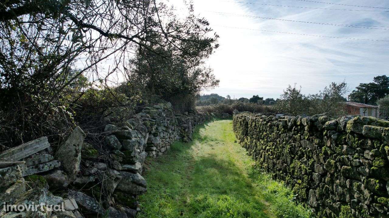 Quintinha - Grande imagem: 4/60