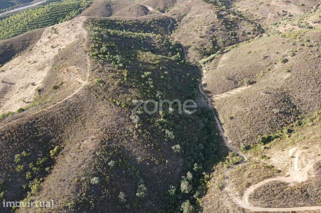 Terreno em S.B.Messines, Foz do Ribeiro com 45.680m2, c/ poço de ág... - Grande imagem: 4/20