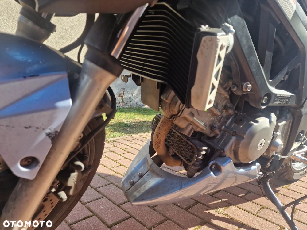 Suzuki SV - 8