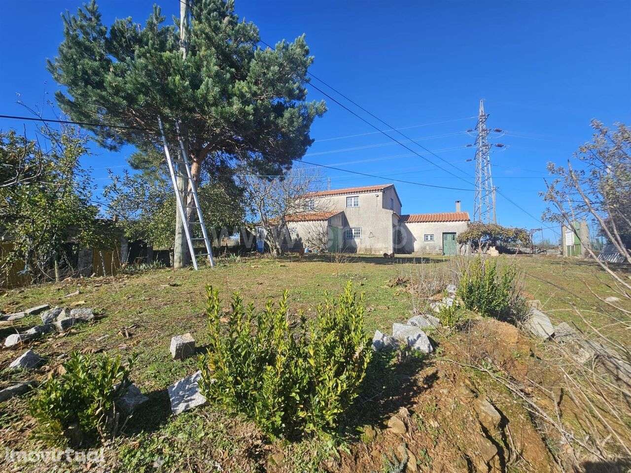 Quintinha T3 / Sabugal, Sabugal e Aldeia de Santo António - Grande imagem: 4/8