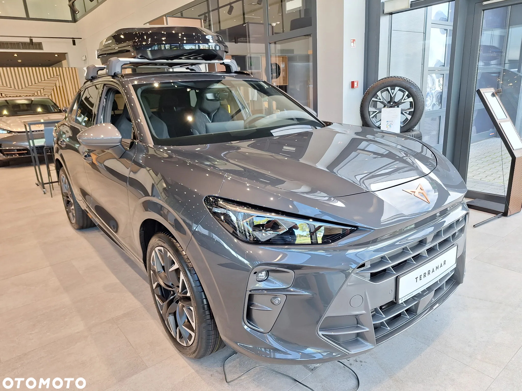 Cupra Terramar 2.0 TSI 4Drive Advantage Edition DSG - 4