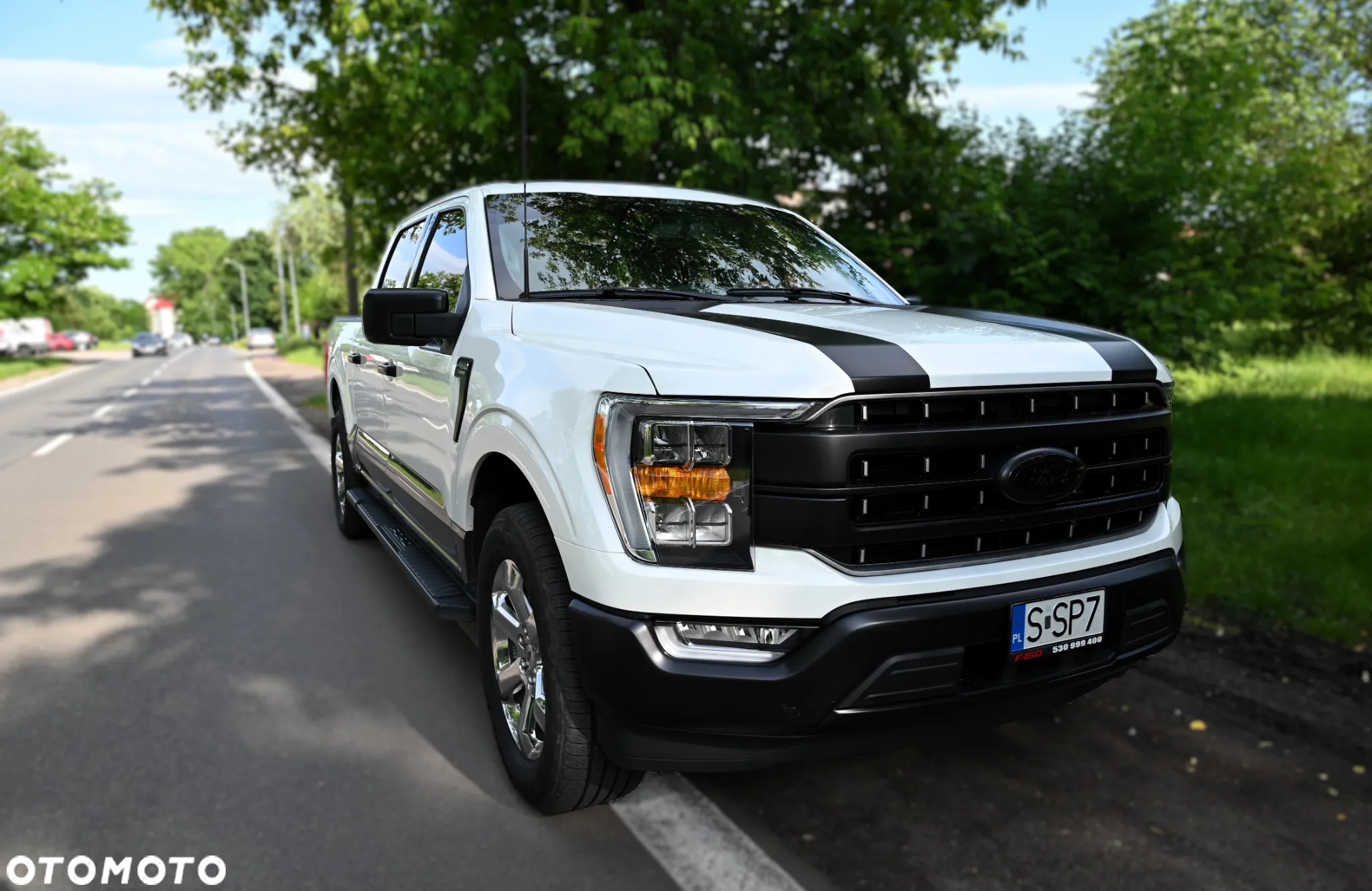 Ford F150 - 3