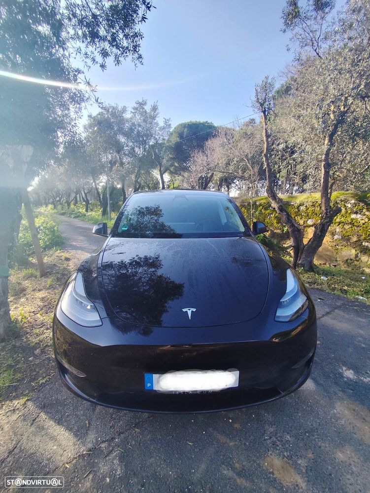 Tesla Model Y Performance Dual Motor AWD - 2