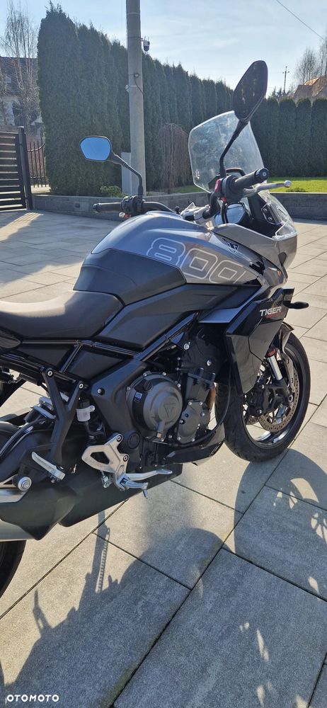 Triumph Tiger - 6