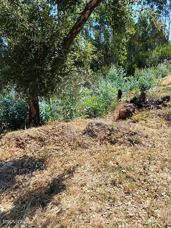 Terreno  para venda - Grande imagem: 5/7