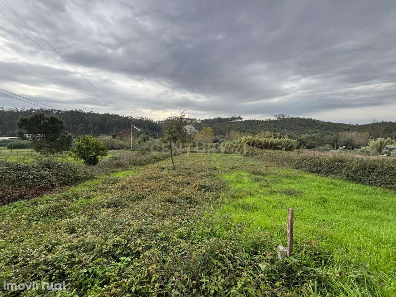 Terreno em localização privilegiada, com ótima exposição solar, na fre - Grande imagem: 2/8