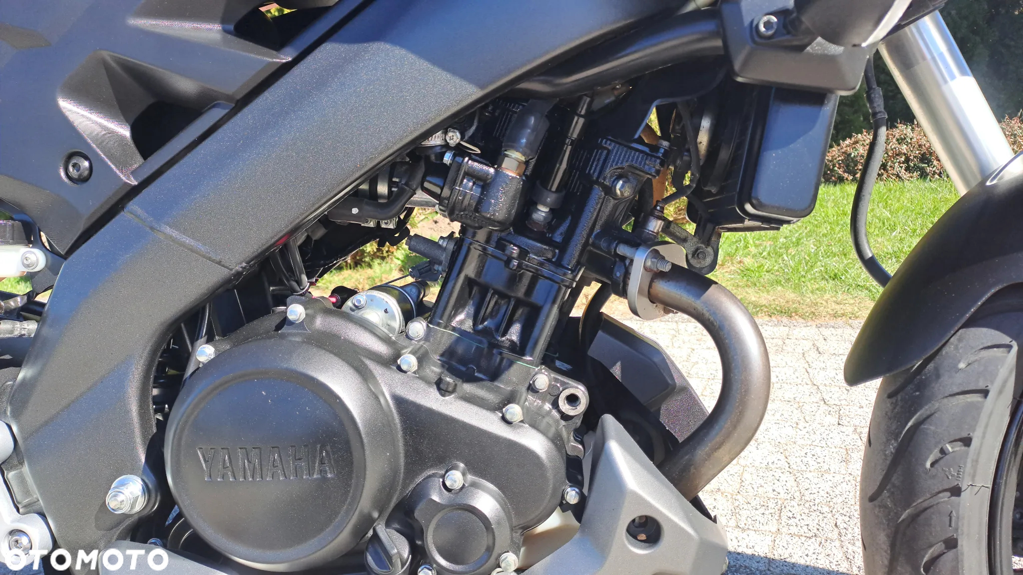 Yamaha MT - 14