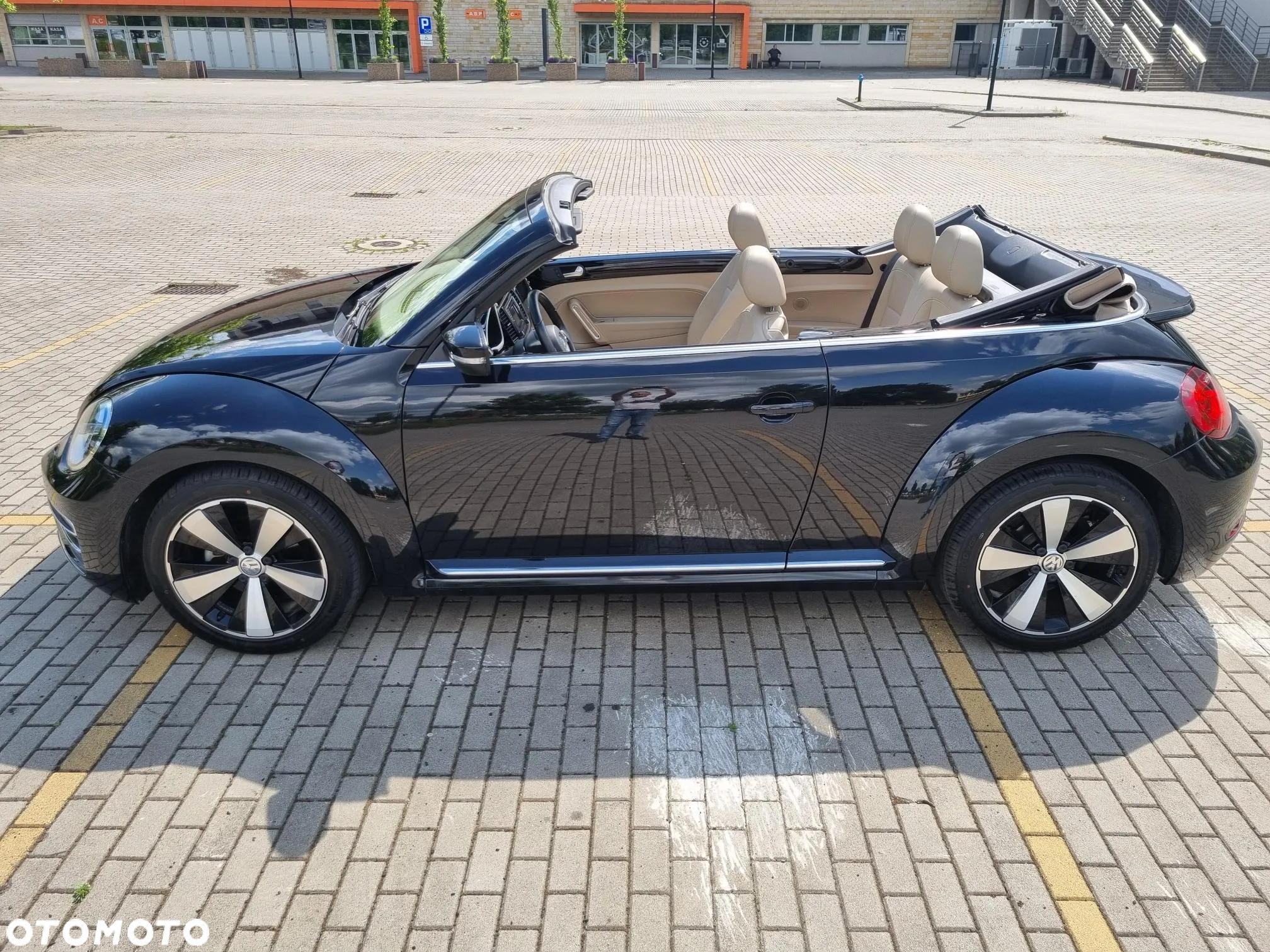 Volkswagen Beetle - 9