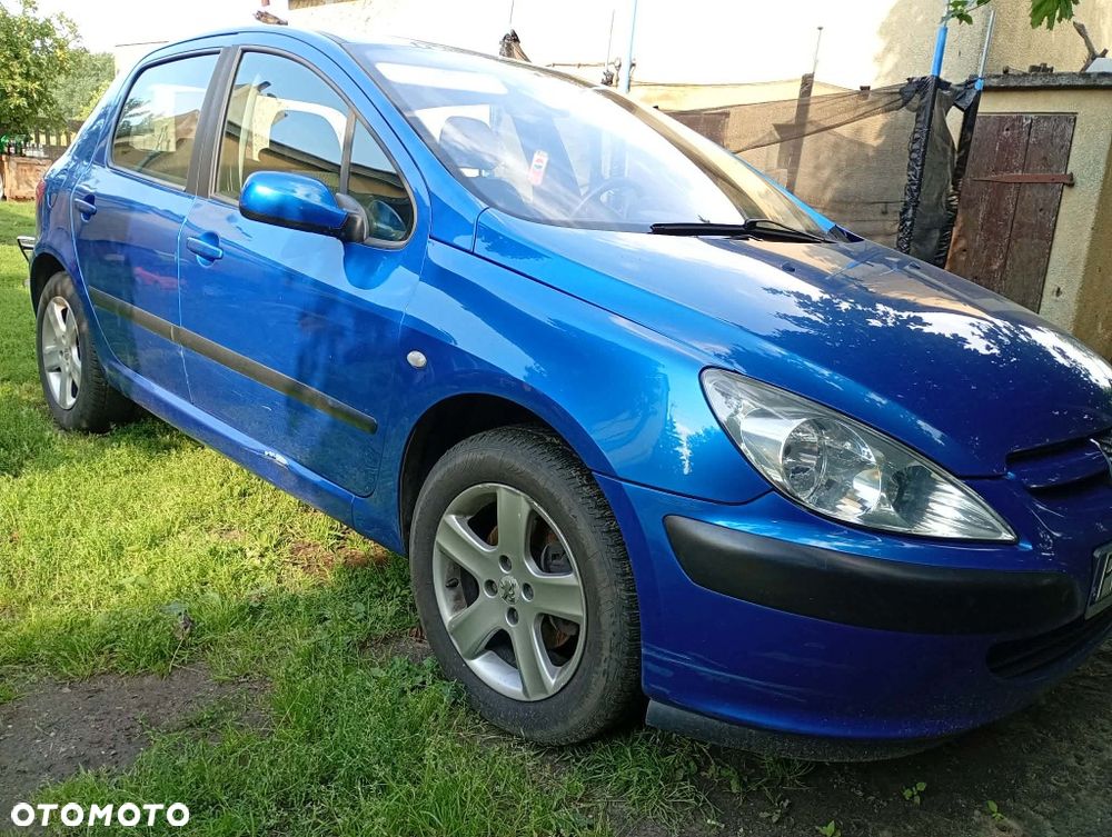 Peugeot 307 - 4