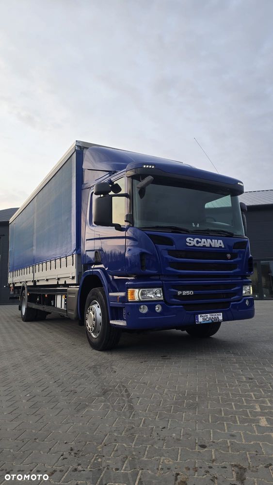 Scania P250 Euro 6 21 palet super stan niski przebieg rama do zabudowy kurierka laweta - 11