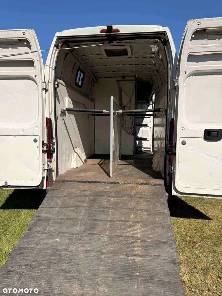 Fiat Ducato Maxi - 6