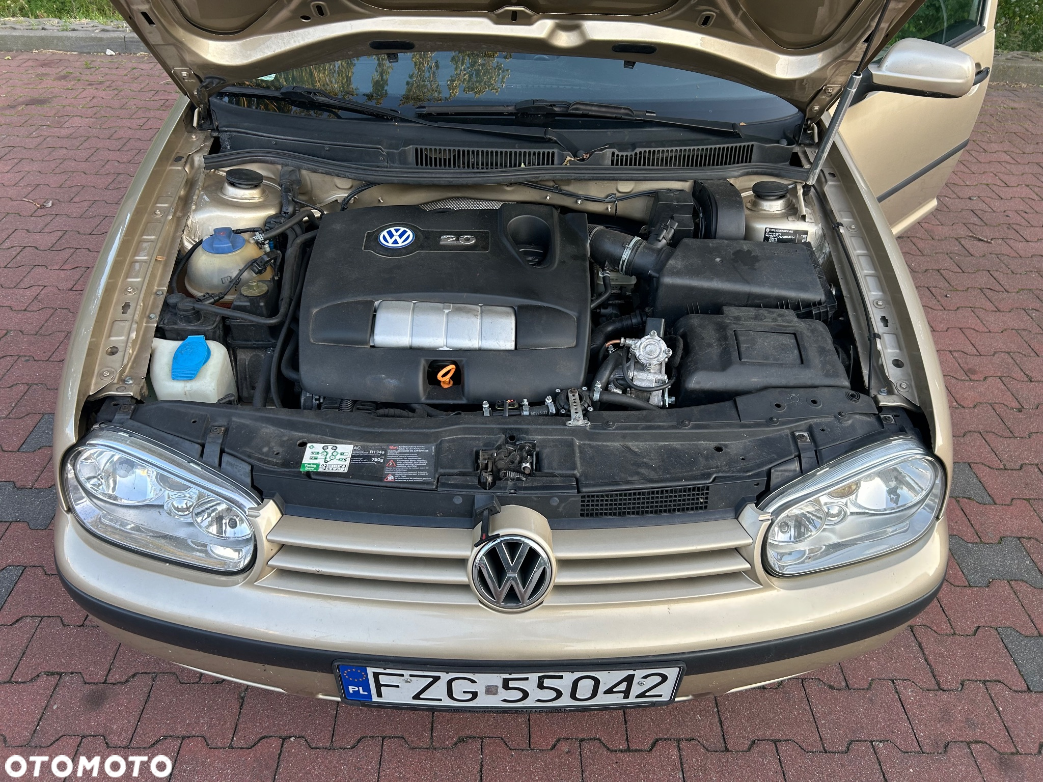 Volkswagen Golf - 8