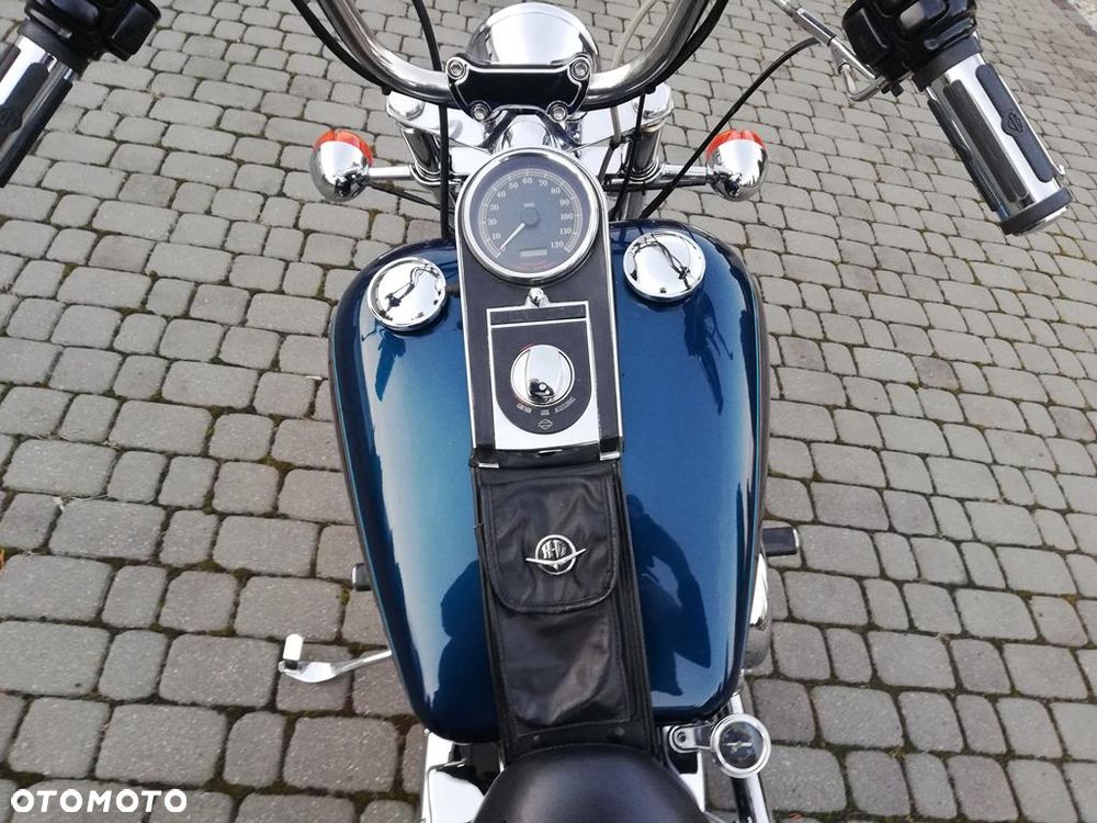 Harley-Davidson Softail Custom - 11