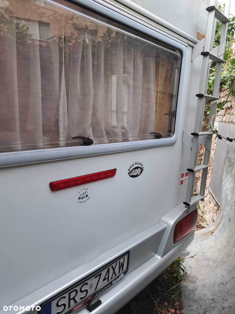 Wilk SPORT 490 - 27