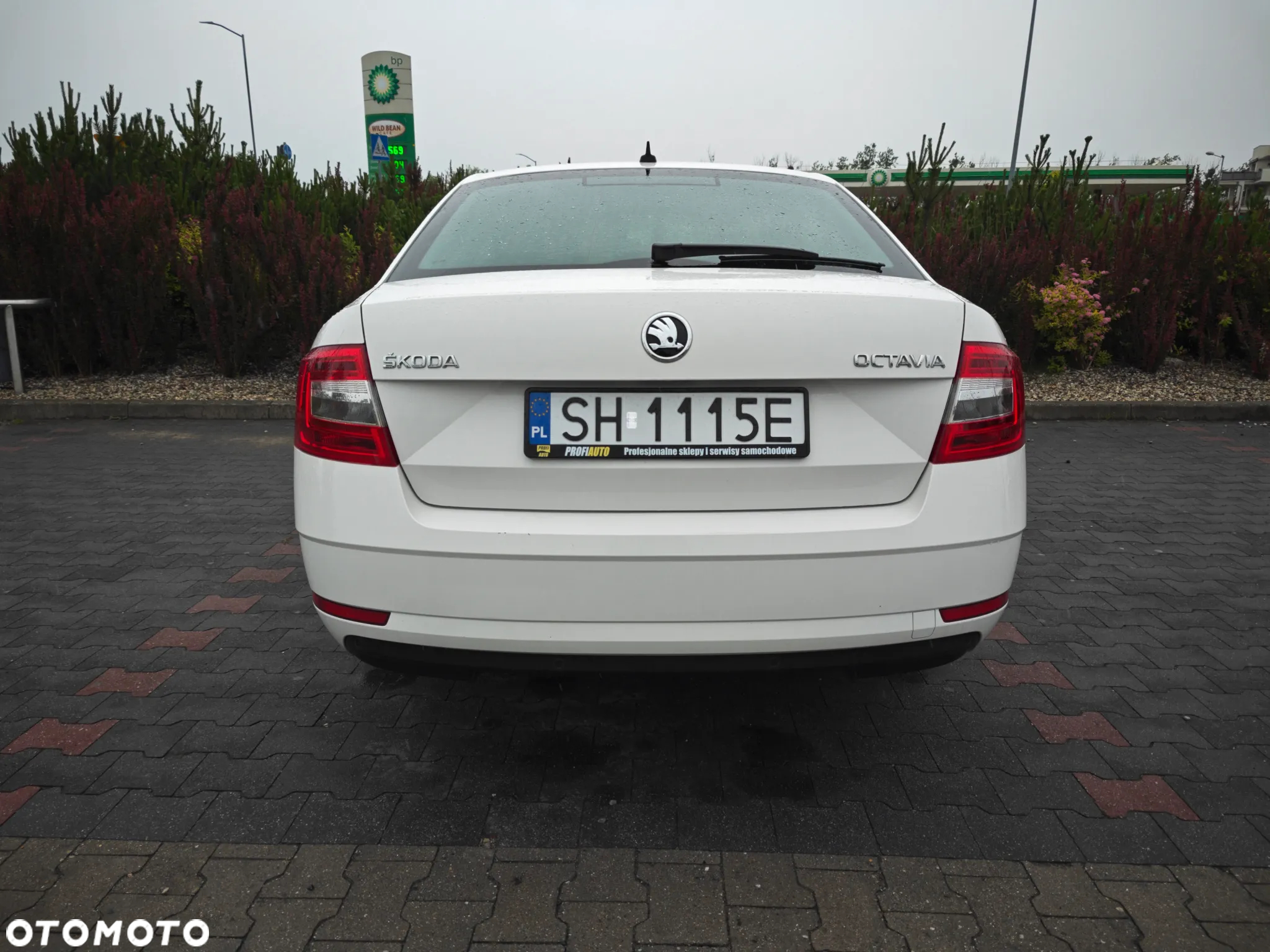 Skoda Octavia 1.6 TDI Ambition - 22