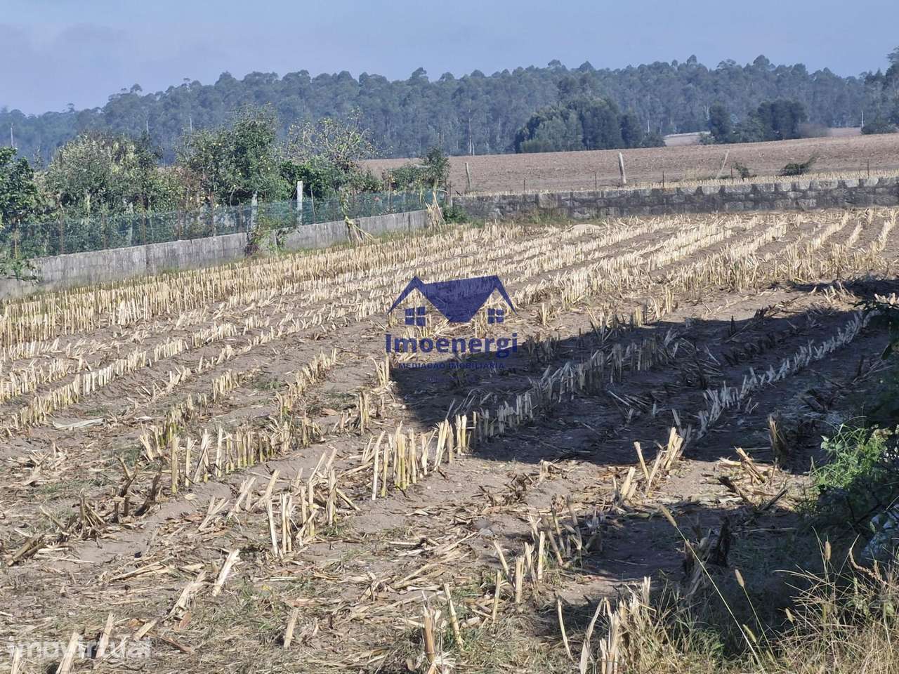 Terreno com Projeto Aprovado - Fajozes - Grande imagem: 3/9