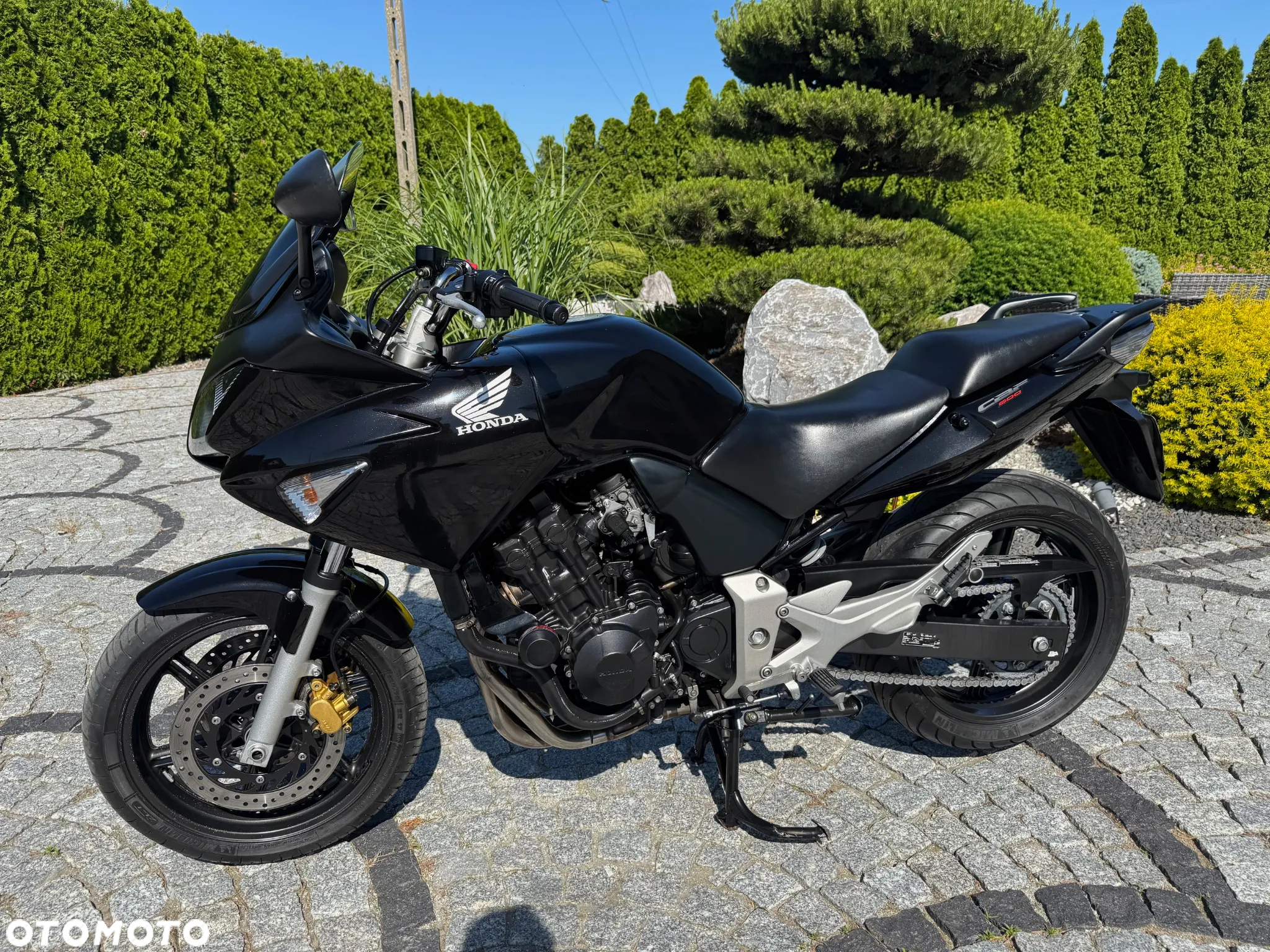 Honda CBF - 3
