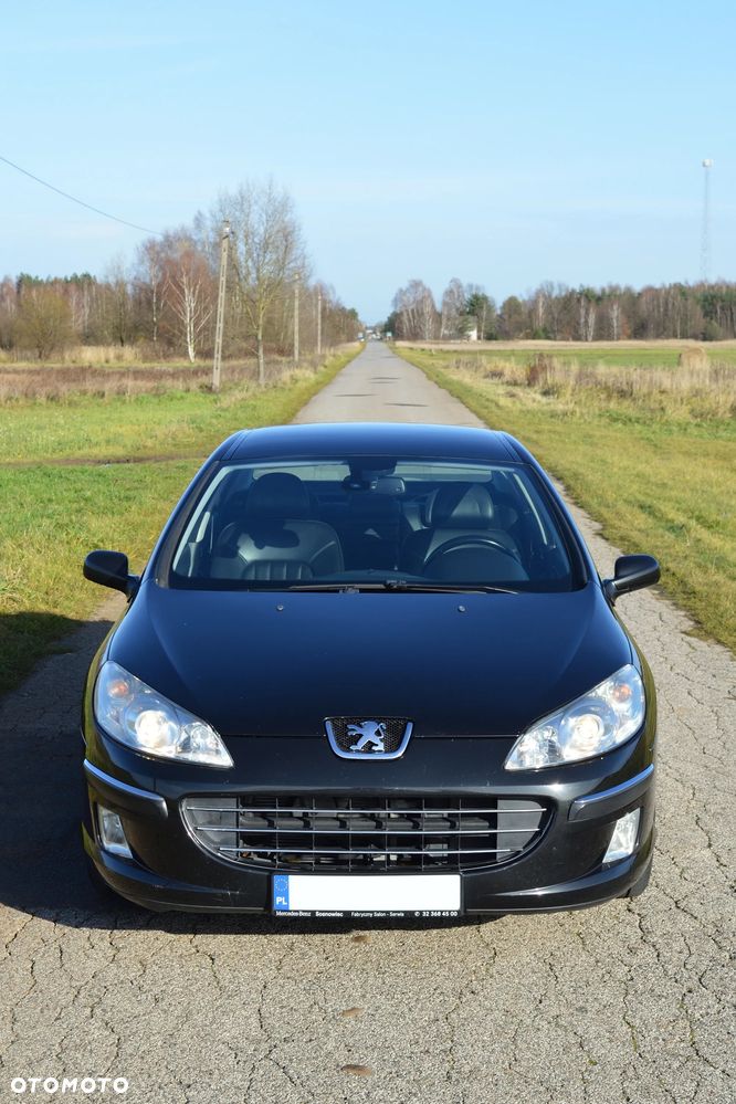 Peugeot 407 - 3