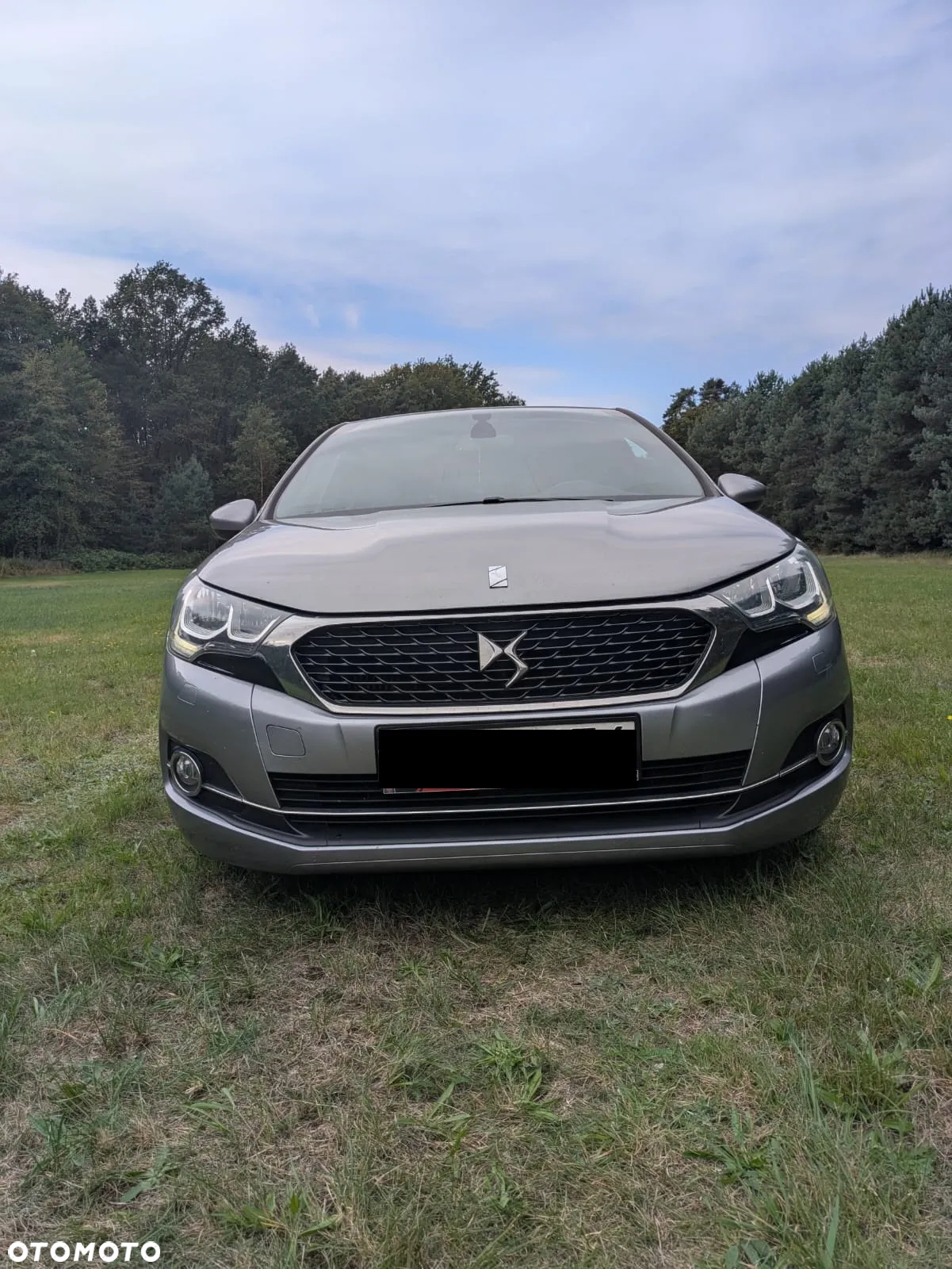 DS Automobiles DS 4 - 3