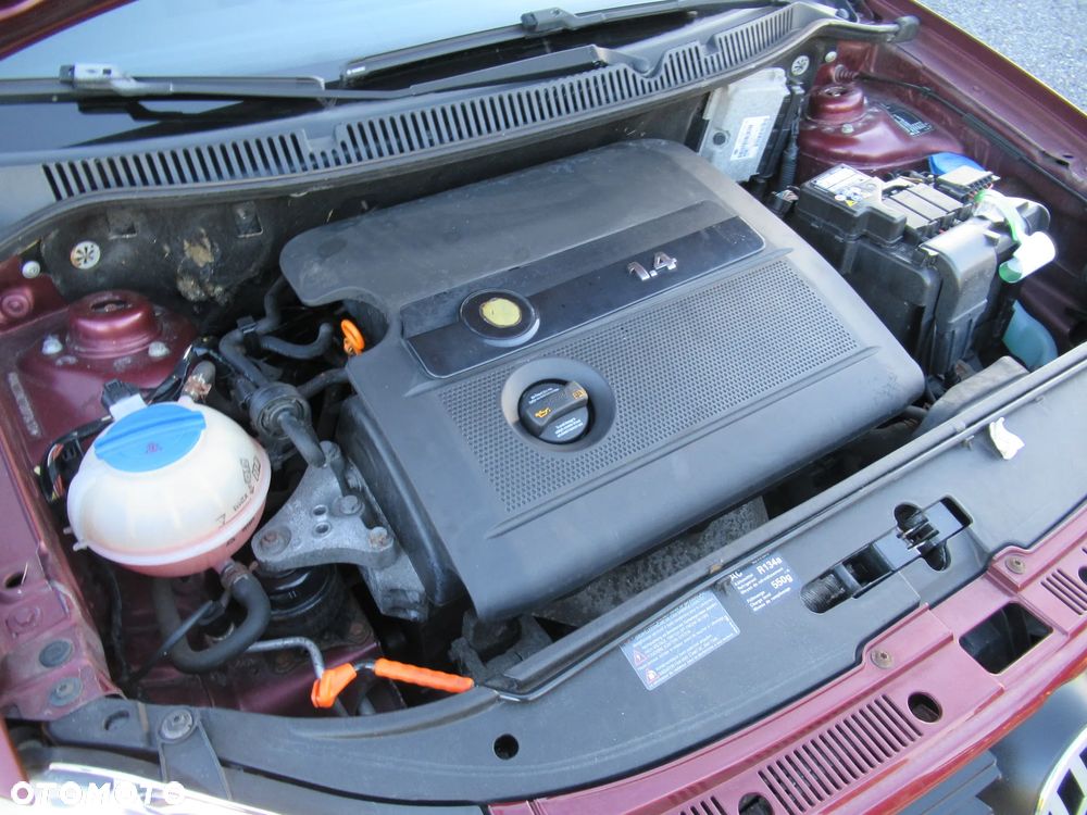 Volkswagen Polo - 17