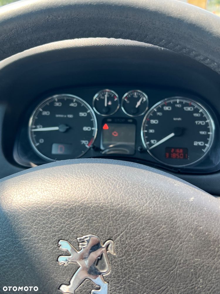 Peugeot 307 1.6 Mistral - 7