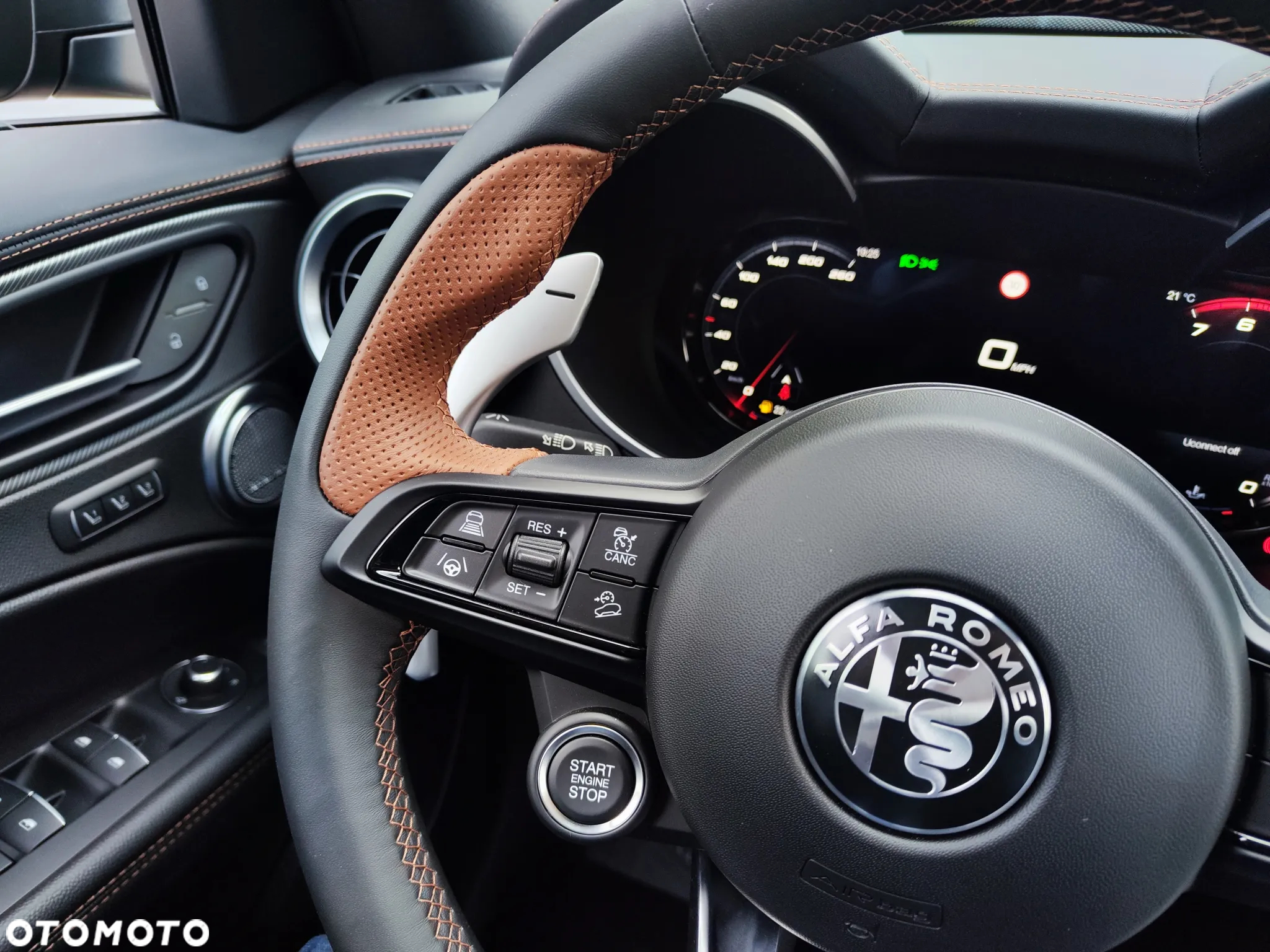 Alfa Romeo Stelvio 2.0 Turbo Intensa Q4 - 30