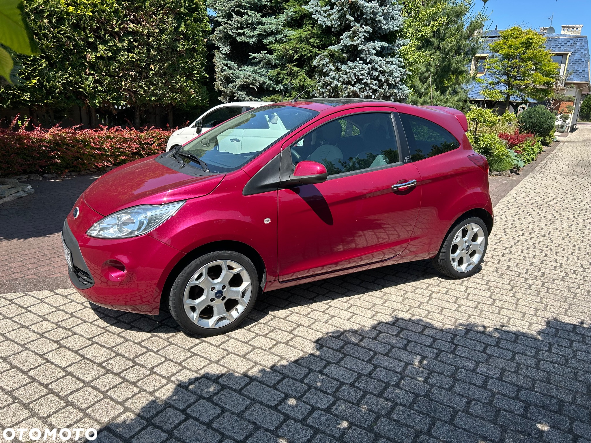 Ford KA - 8