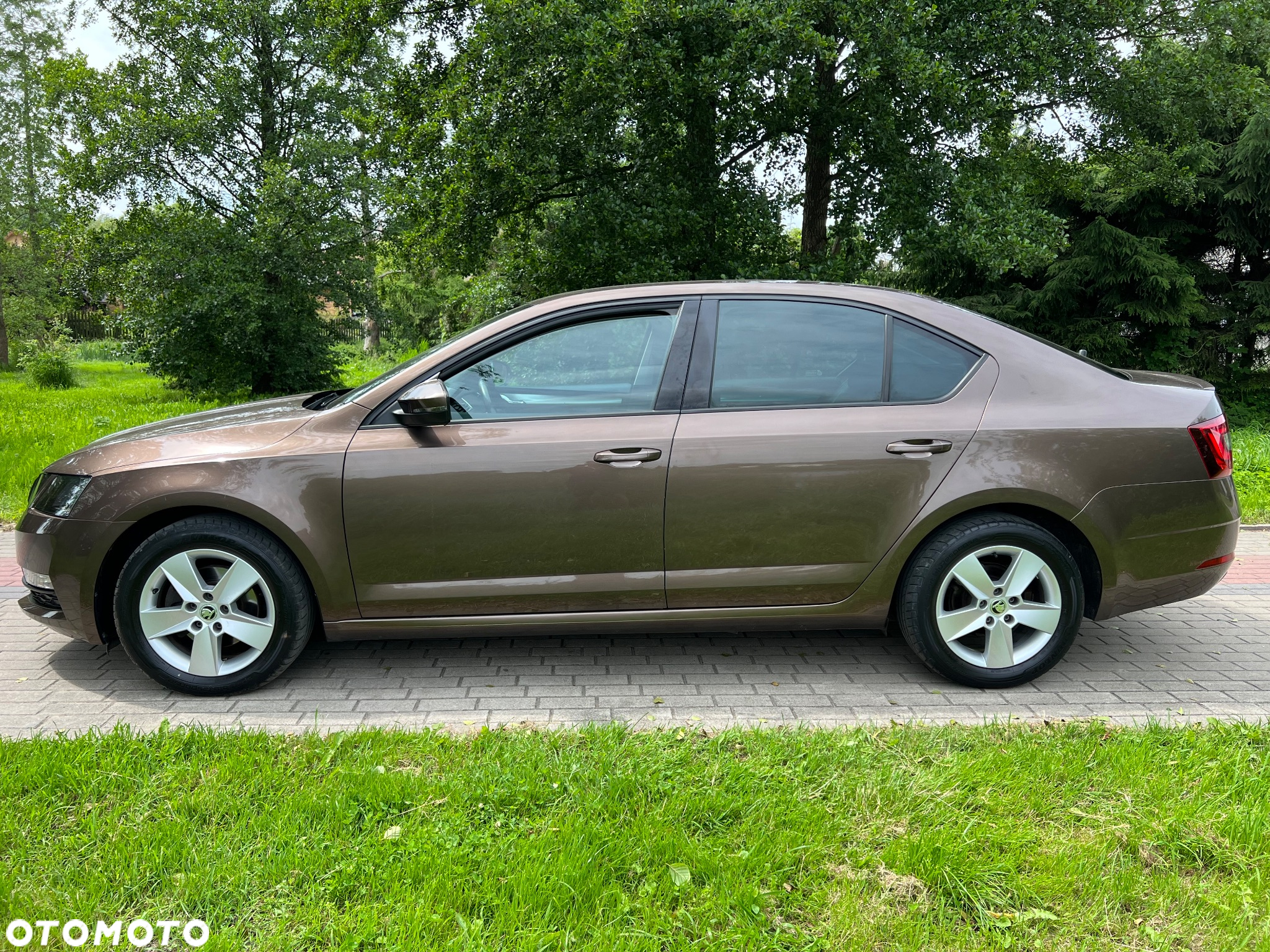 Skoda Octavia 1.5 TSI ACT Ambition - 6