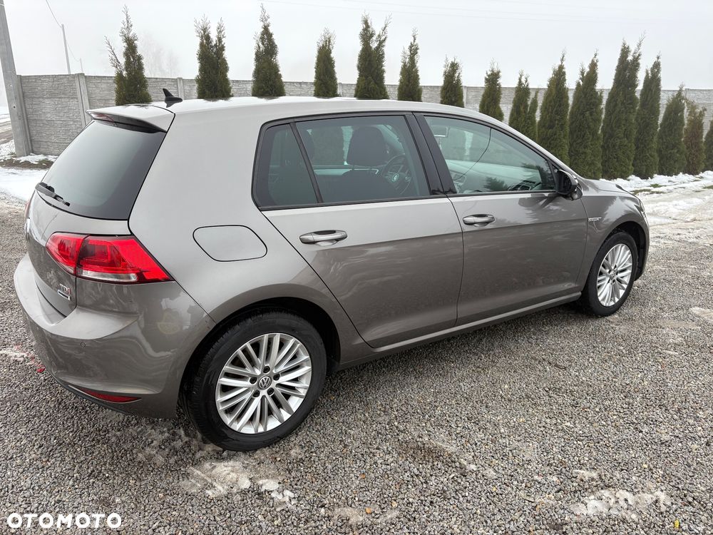 Volkswagen Golf 1.6 TDI BlueMotion Technology Cup - 11