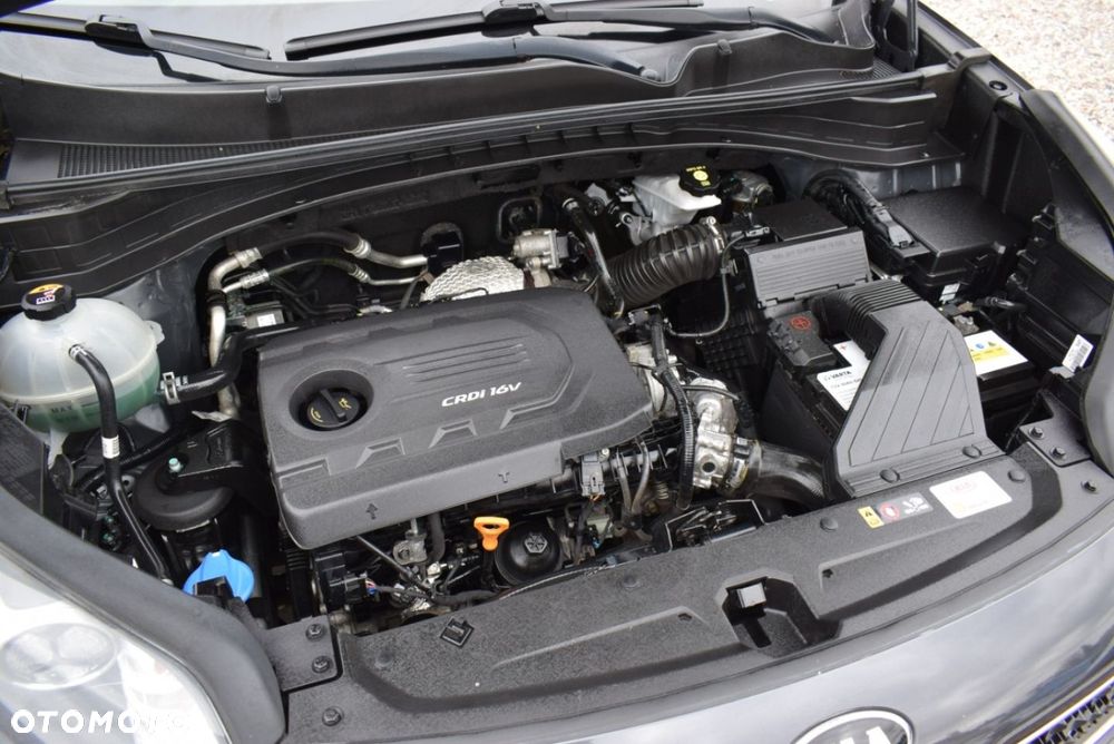 Kia Sportage - 15
