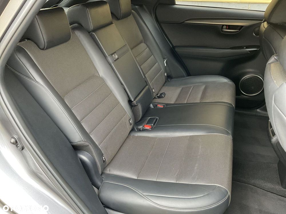 Lexus NX 300h F Sport Edition AWD - 14