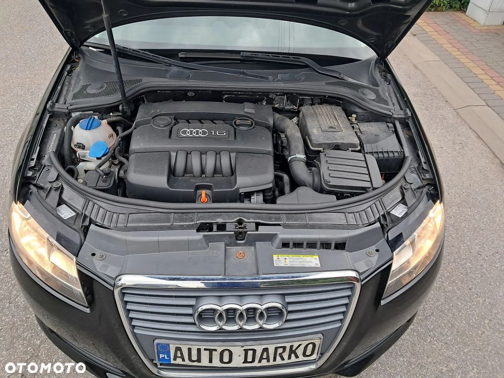 Audi A3 Sportback 1.6 Attraction - 5