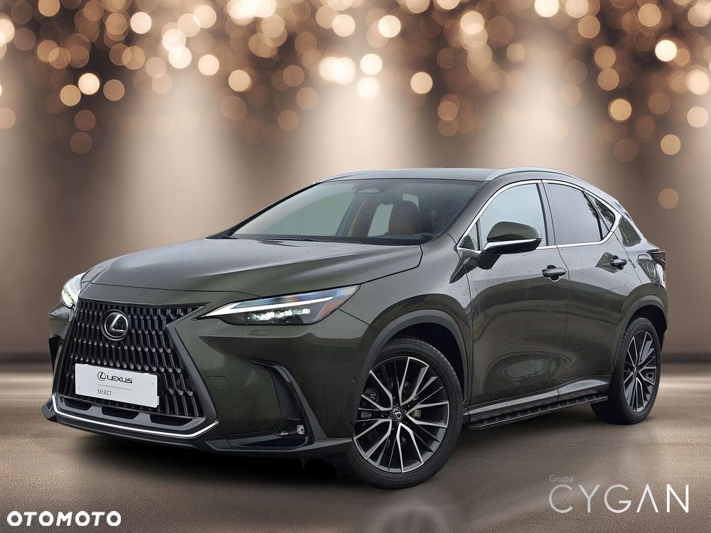 Lexus NX - 2