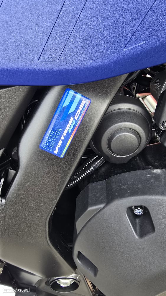 Suzuki DL 800 Heritage Tourer - 8