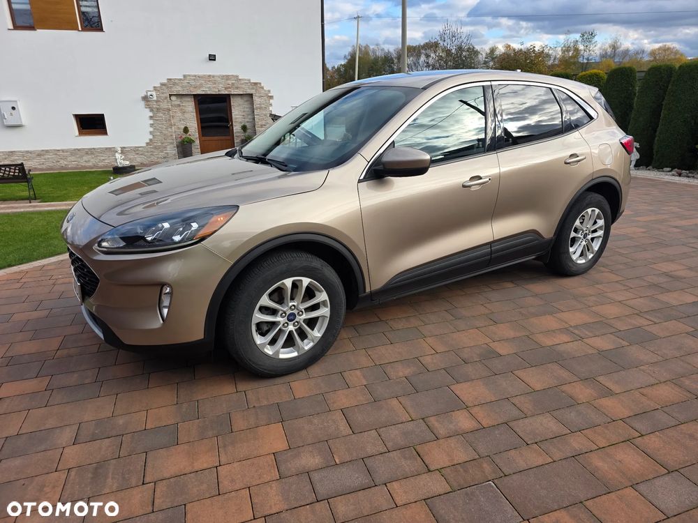 Ford Escape - 1