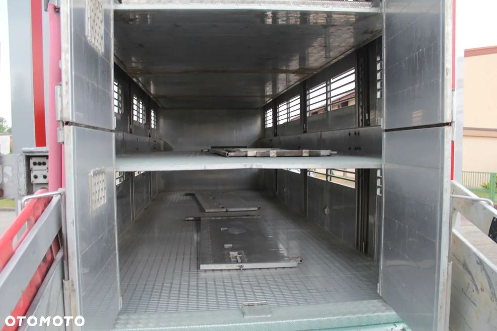 MAN TGS 26.440 DO ŻYWCA ZWIERZĄT BYDŁA Z NIEMIEC - 17