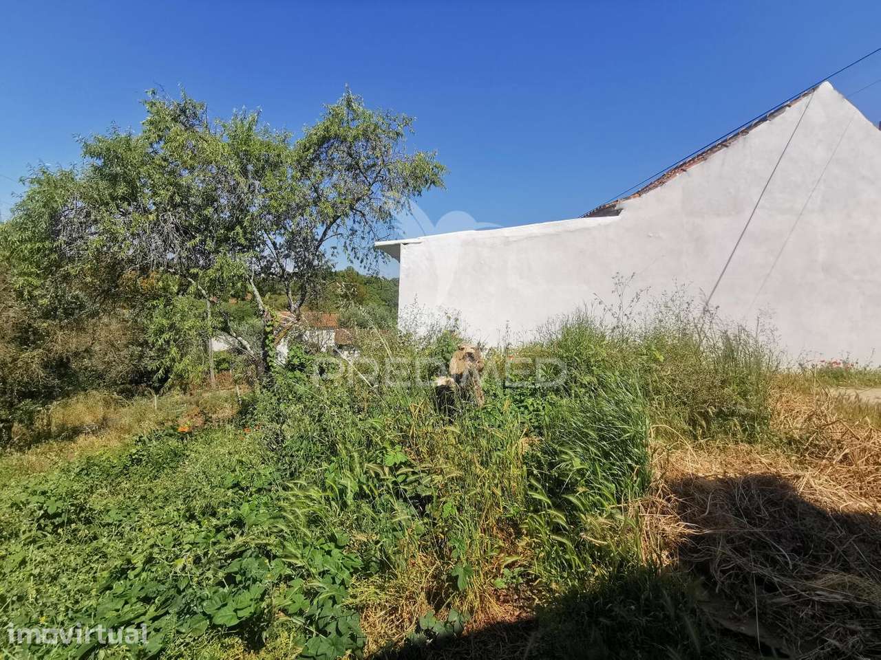 Lote de Terreno - Grande imagem: 4/9