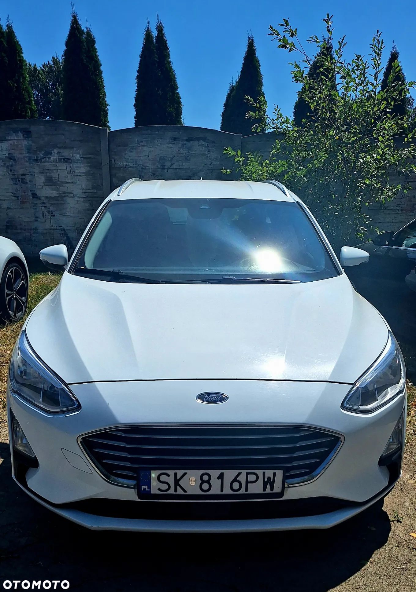Ford Focus 1.5 EcoBlue Active Business - 1
