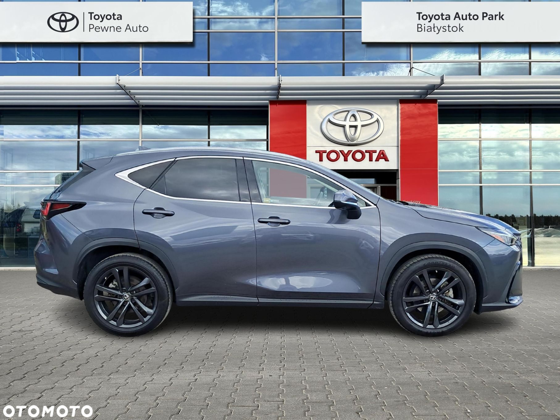 Lexus NX - 6