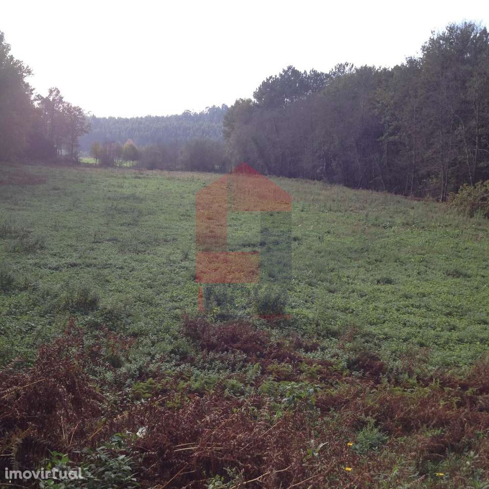 Terreno agrícola, Arcozelo - Grande imagem: 2/7