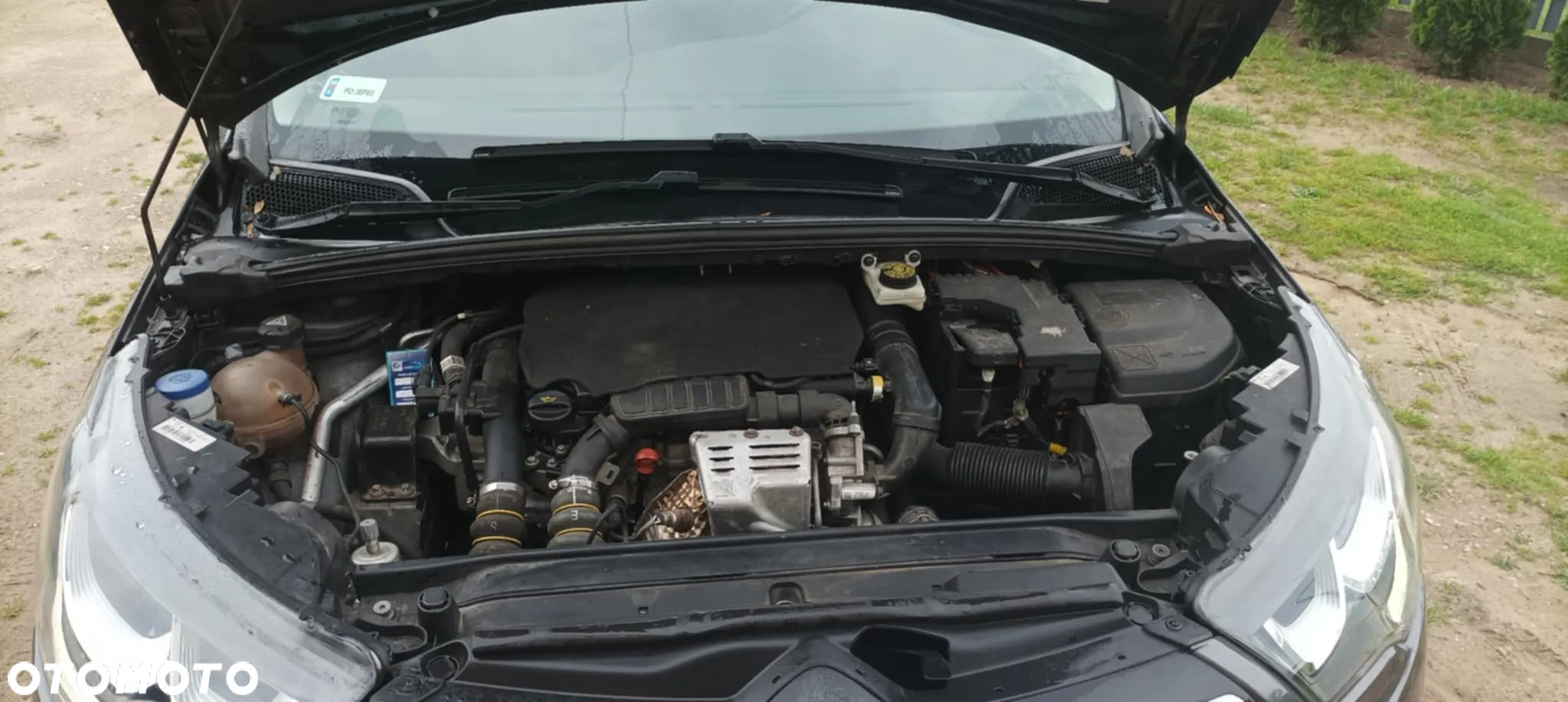 Citroën C4 1.2 PureTech MoreLife - 7