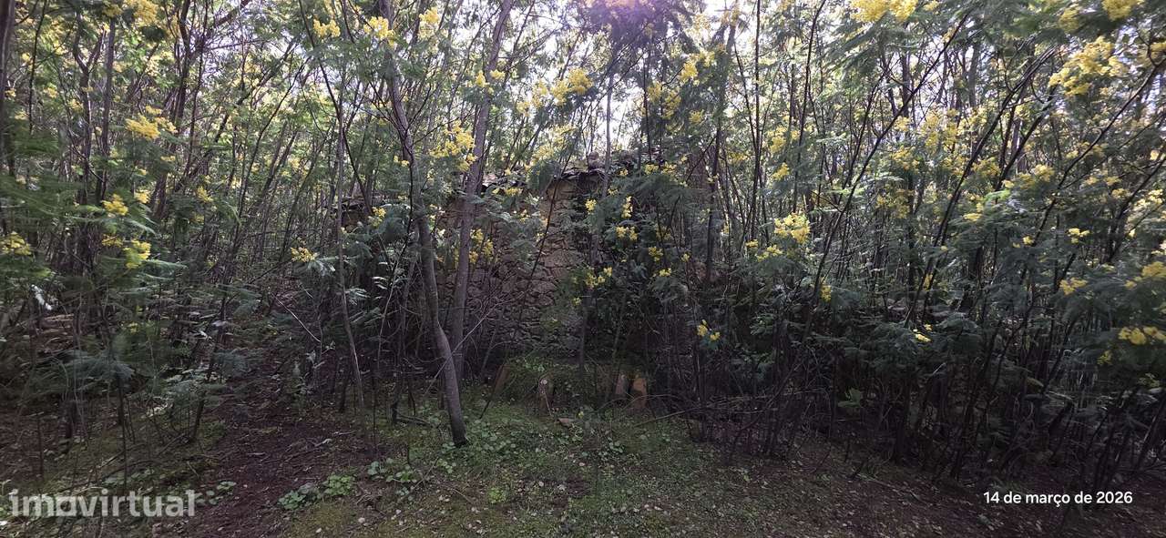 Terreno rústico 11.163m² com casa em ruínas, poço em pedra, ribeiro - Grande imagem: 4/18