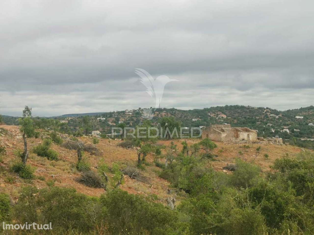 Terreno misto perfeito para a sua casa de sonho - Grande imagem: 2/23